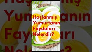 Her Gün Haşlanmış Yumurta Yemenin 10 Şaşırtıcı Faydası