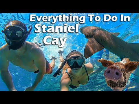 Everything to do at Staniel Cay in the Bahamas!  S5:E21