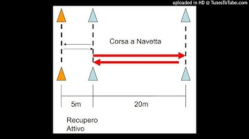 Audio YO-YO TEST italiano