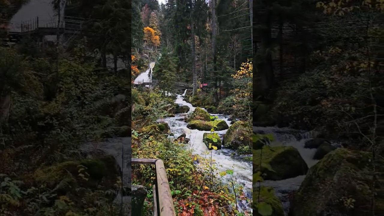 Magical Germany 🇩🇪 #blackforest #waterfall #nature
