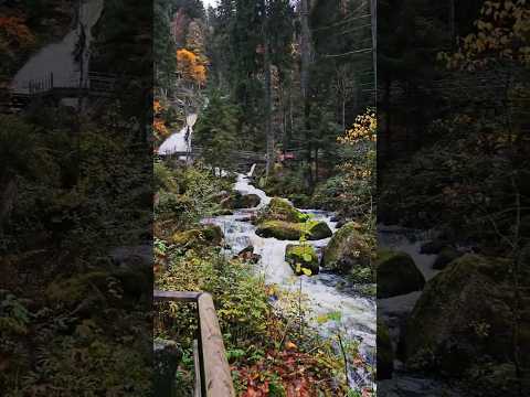 Magical Germany 🇩🇪 #blackforest #waterfall #nature