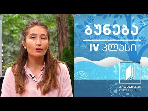 ბუნება, IV კლასი - ორგანიზმების ძირითადი ჯგუფები #ტელესკოლა