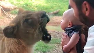 Imagine If There Was NO GLASS!  Funny Babies At The Zoo #3 | Life Funny Pets 