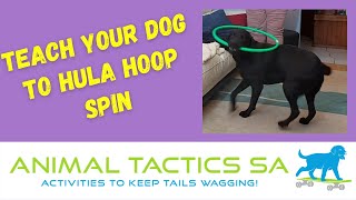 Teach Your Dog To Hula Hoop Spin - Elite, Animal Tactics Level 4