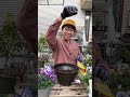 ビオラを植え替えるよ！ #ガーデニング #カーメン君 #オニちゃんねる #ビオラ#パンジー
