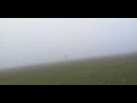 Jijjiirama Haala Qilleensaa