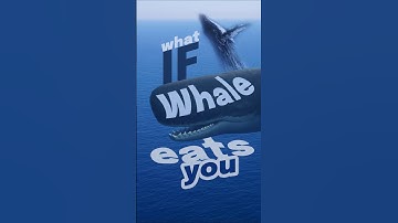 If a Whale Swallowed You… Would You Survive? 🐋💀🌊