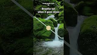 4-1-8-1 Parasympathetic Breathing Exercise For Deep Stress Relief Activate Your Vagus Nerve & Relax