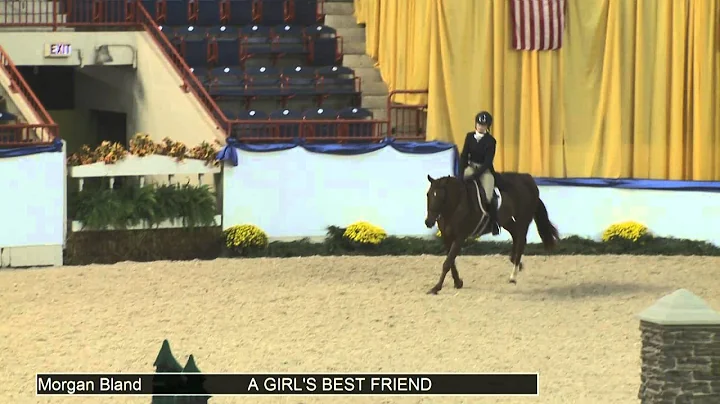 1088 A GIRL'S BEST FRIEND Morgan Bland, Class 230 ...