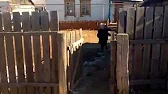 Вася