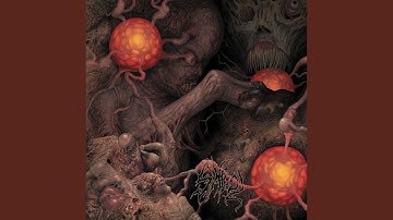 Anal Stabwound - Subversion of Prophecy