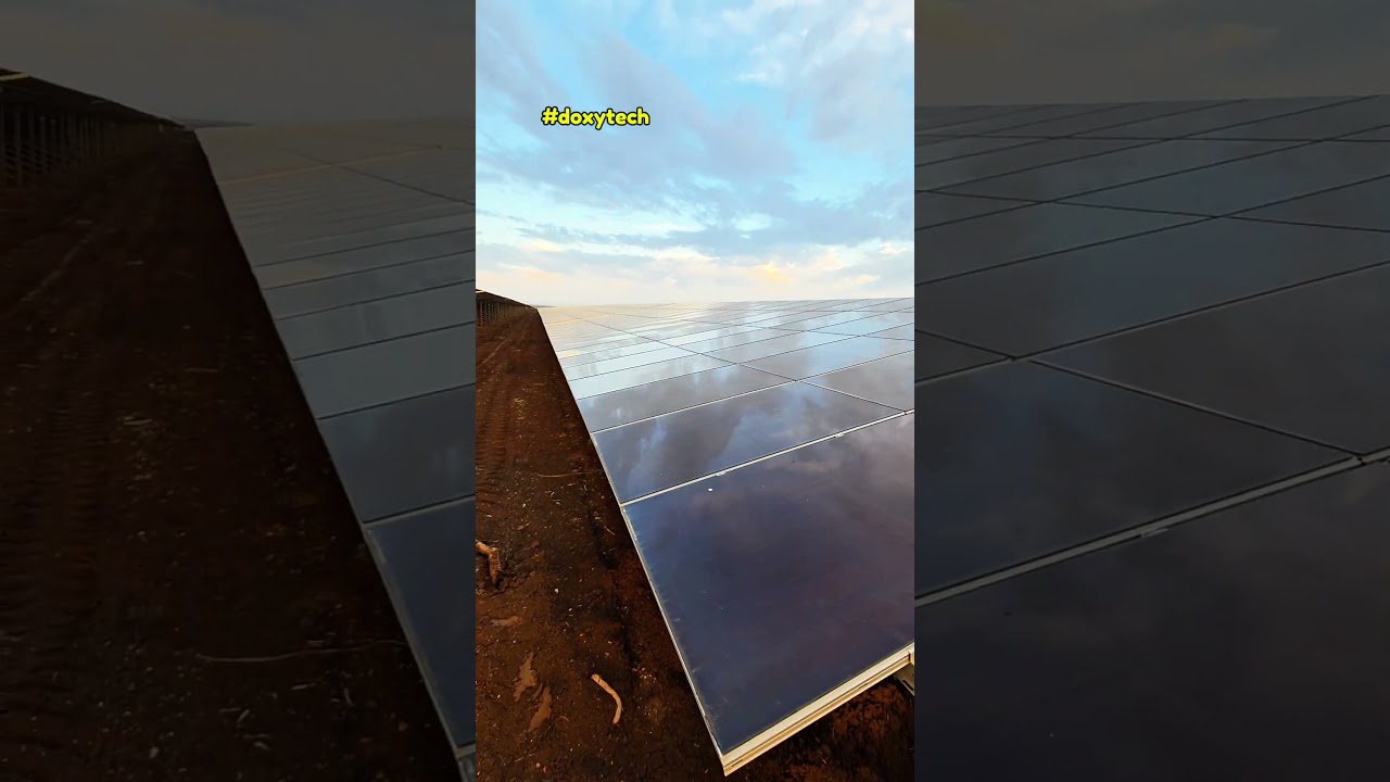 Solar farm ⚡️  