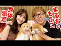 【ヒカキン×こじはる】まるお&もふこ身体測定！【こじキンTV】【小嶋陽菜さんコラボ】