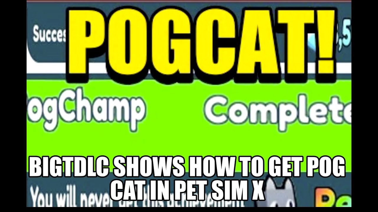 Pet Simulator X How to get the Pog Cat YouTube