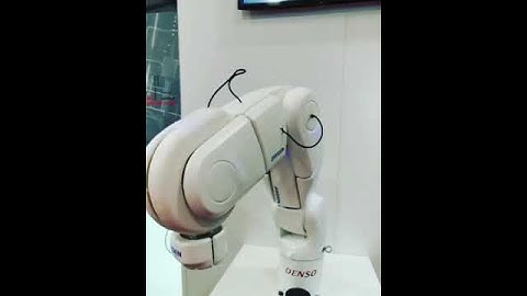 𝗔 𝗻𝗲𝘄 𝗱𝗮𝘆 𝗮𝘁 𝗠𝗼𝘁𝗲𝗸