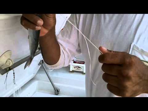 IGFA School of Sportfishing: Simple Ballyhoo Rig for a Circle Hook 