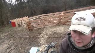 Corralling piglets
