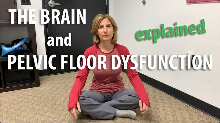 Pelvic Floor Dysfunction and Brain explained by Core Pelvic Floor Therapy