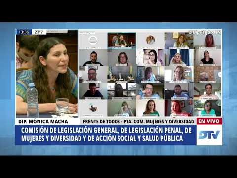 VIDEOCONFERENCIA COMPLETA: H. Cámara de Diputados de la Nación - 1 de diciembre de 2020