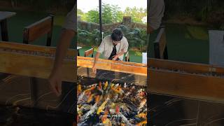 இங்க போனா 💥♥️ Lover Kadaikuma 🔥😍 | Sea Tales Restaurant | #shorts