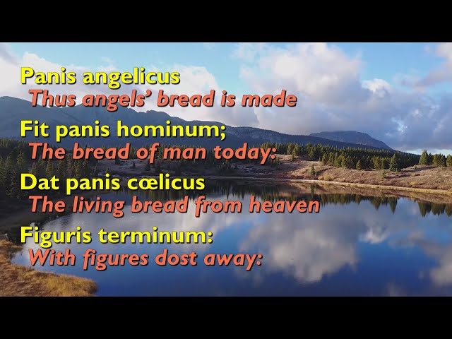 Panis Angelicus (Bread of Angels) [with lyrics] class=