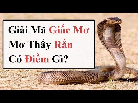 Giải mã giấc mơ thấy con RẮN đánh đề con gì ? Giải Mộng Giấc Mơ - Tử Vi Tướng Số 2018