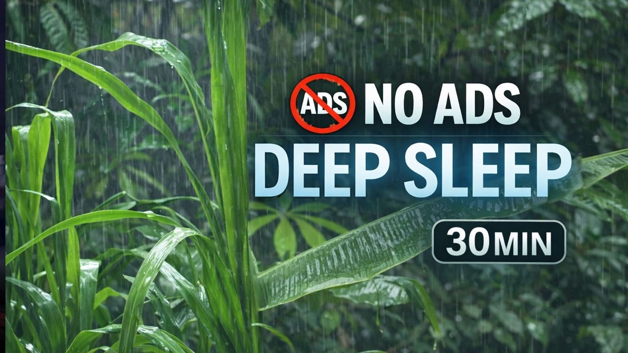 No Ads Rain Sounds for Sleeping - ASMR Rain For Sleeping - Deep Sleep with Relaxing Rain Sounds