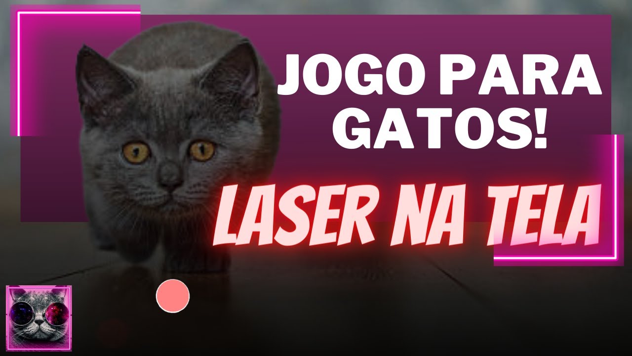 Jogos virtuais e laser animam pets, mas não são unanimidade entre gateiros  - 06/03/2021 - UOL Nossa