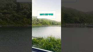 MBTI 공감 핵폭발! MBTI 하나로 성격 다 보인다. 이래서 성격 안 맞는 거였구나! 각 MBTI 성격 다 드러난다! #MBTI #MBTI성격 #MBTI유형 #MBTI공감