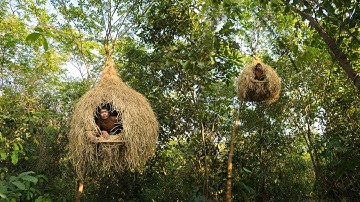 Building Bird Nest Tree House
