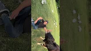 Sevgi Bambaşka Hayvan Hislerine Göre Hareket Eder Ve Seveni Bilir