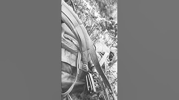 #sniper #army #sharpshooter #armylover #music #commando #youtubeshorts