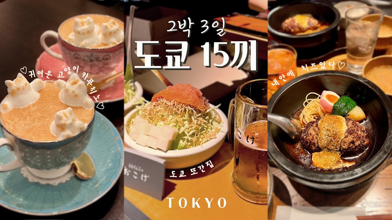 2박 3일 도쿄 먹부림 여행 🇯🇵ㅣ차테이하토우, 팡메종, 고양이카푸치노, 이치란, 잇푸도