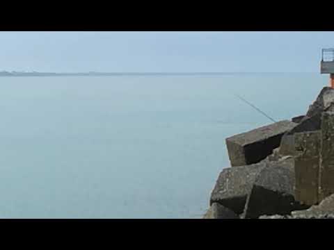 ლუფარის შეტევა კეფალზე,луфарь атакует кефаль,kofana vs kifal