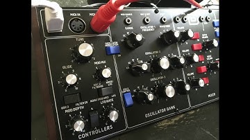 Behringer Model D, Awesome Sequences & Sounds