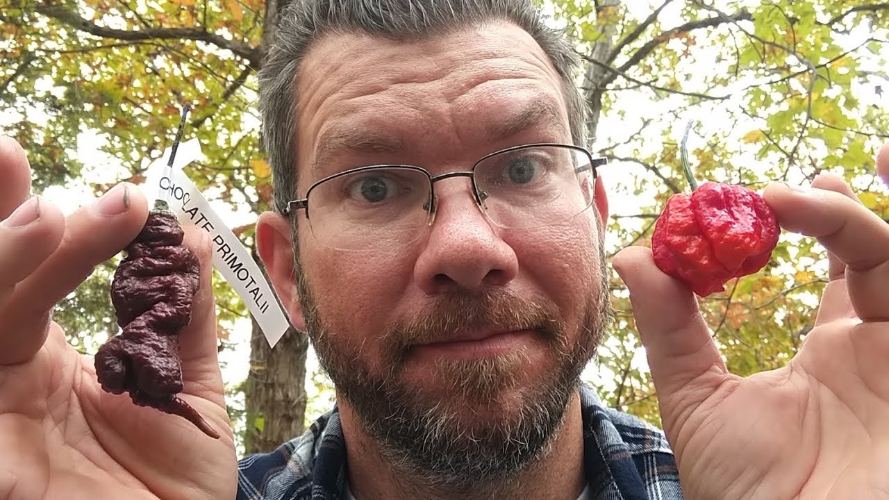 ИДИОТ ЕСТ САМЫЙ ОСТРЫЙ ПЕРЕЦ В МИРЕ!!! 🥵 ШОКОЛАДНЫЙ ПРИМОТАЛИ ПРОТИВ КРАСНОГО БАРАВОЧНИКА!!!