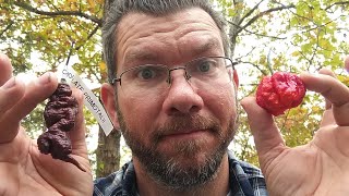 IDIOT EATS THE HOTTEST PEPPERS IN THE WORLD!!! 🥵 CHOCOLATE PRIMOTALII VS RED WARTHOG!!!