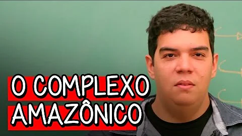 Qual a atividade mais importante atualmente do complexo amazônico?