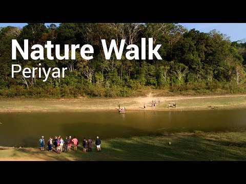 Nature Walk - the guided day trek