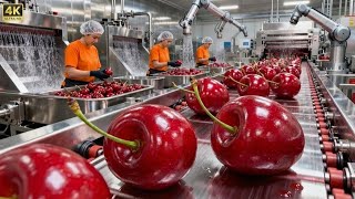 How Cherries Are Processed in a High-Tech Factory | Industrial ASMR