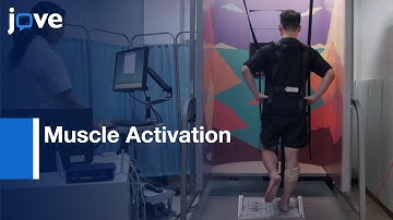 Postural Control and Lower-extremity Muscle Activation in CAI | Protocol Preview