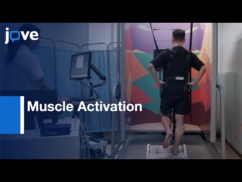 Postural Control and