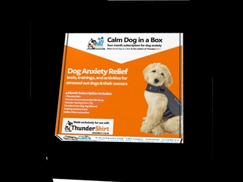 Calm Dog in a Box Anxiety Relief for Dogs Subscription - ThunderShirt