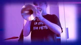 BACHELORETTE Björk TRUMPET COVER MOVIE MIX