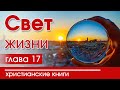 🔴ИНТЕРЕСНЫЙ ХРИСТИАНСКИЙ РАССКАЗ "Свет жизни"17 часть  Патриция С.Джон Детские христианские рассказы