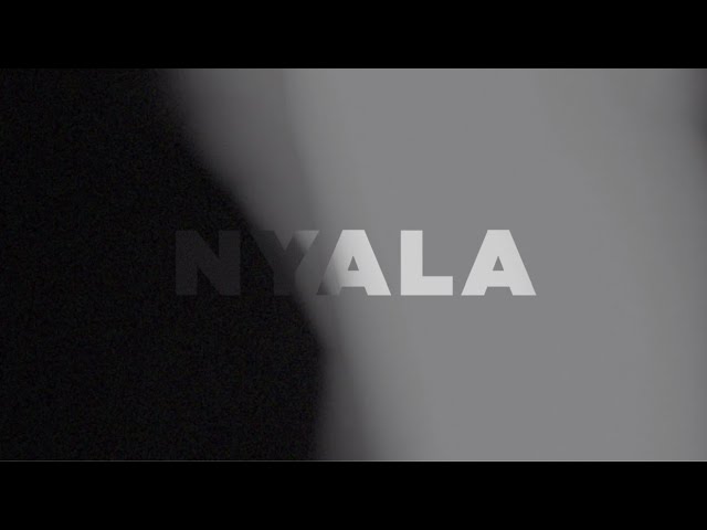 Sal Priadi - Nyala (Official Lyric Video) class=
