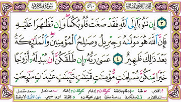 القرآن الكريم مقسم صفحات | الشيخ حاتم فريد | سورة التحريم | صفحة 560 مكتوبة | مصحف التجويد الملون
