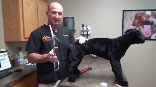 how to make a schroder thomas splint