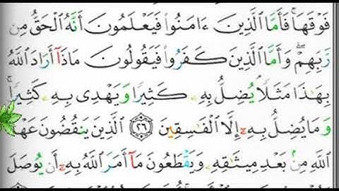 مصحف التجويد المرتل الصفحة 5 إبراهيم الأخضر