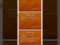 Meat Parasites Linguatula Rhinaria Meat Parasites Linguatula Rhinaria